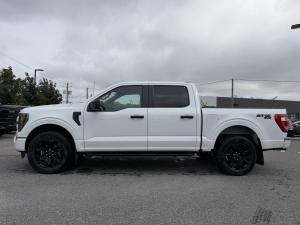 Miniature 9 Ford F150 XL 2023