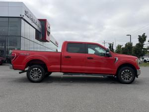 Thumbnail 5 Ford F150 XLT 2022