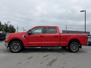 Thumbnail 9 Ford F150 XLT 2022