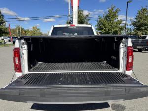 Miniature 8 Ford F150 XLT 2023