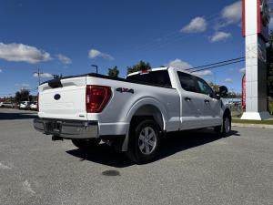 Miniature 6 Ford F150 XLT 2023