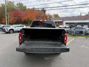 Miniature 10 Ford F150 F-150 2021
