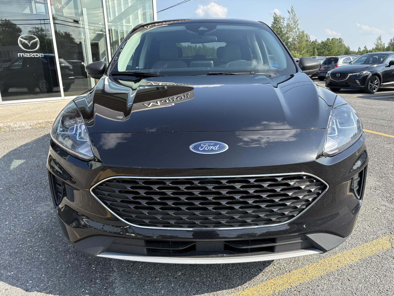 Image 7 Ford Escape SE 2022