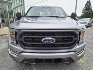 Thumbnail 7 Ford F150 XLT 2022