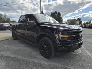 Miniature 6 Ford F150 XLT 2025