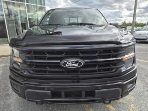 Miniature 7 Ford F150 XLT 2025