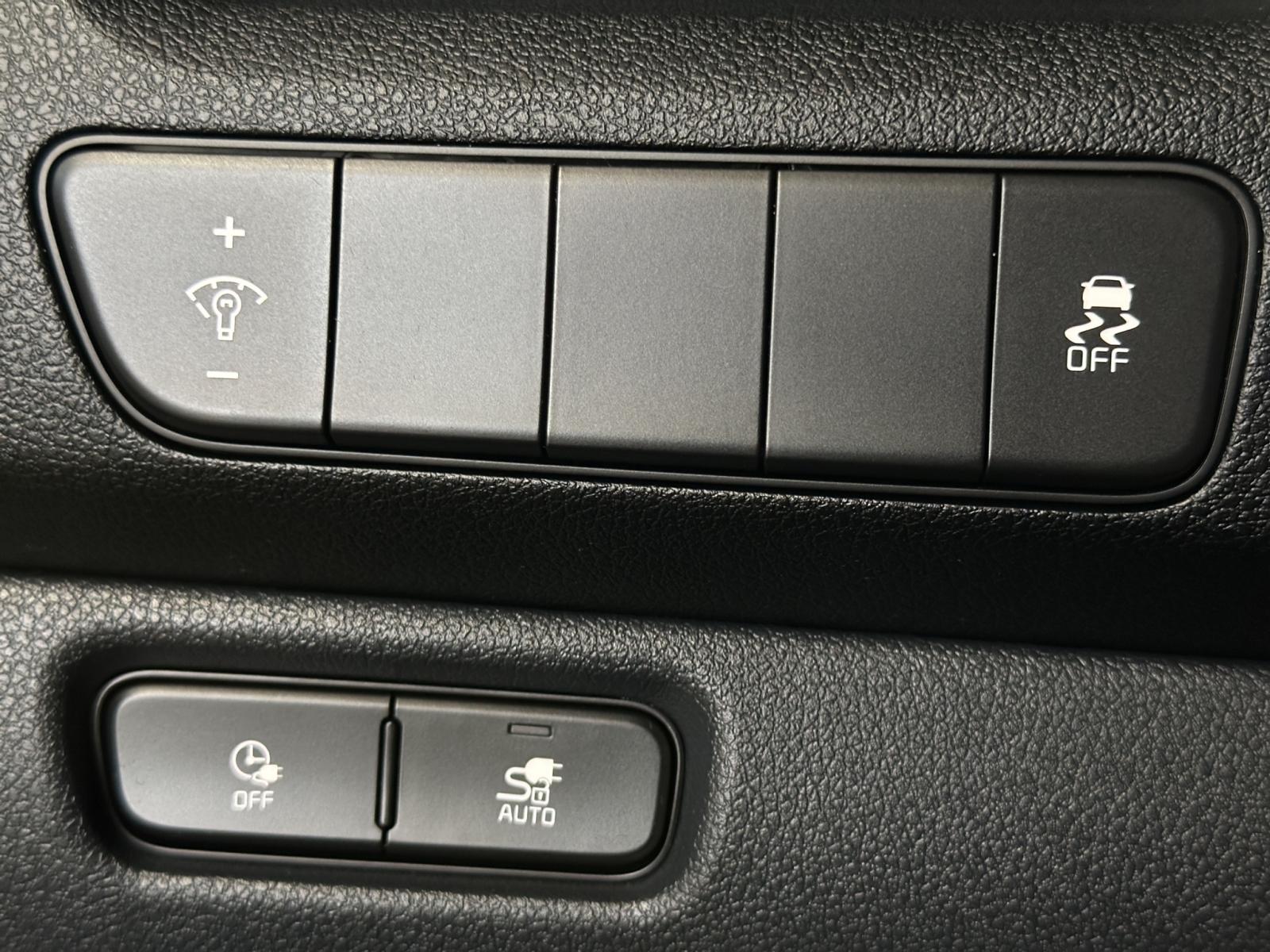 Image 20 Kia Niro EV EX 2021