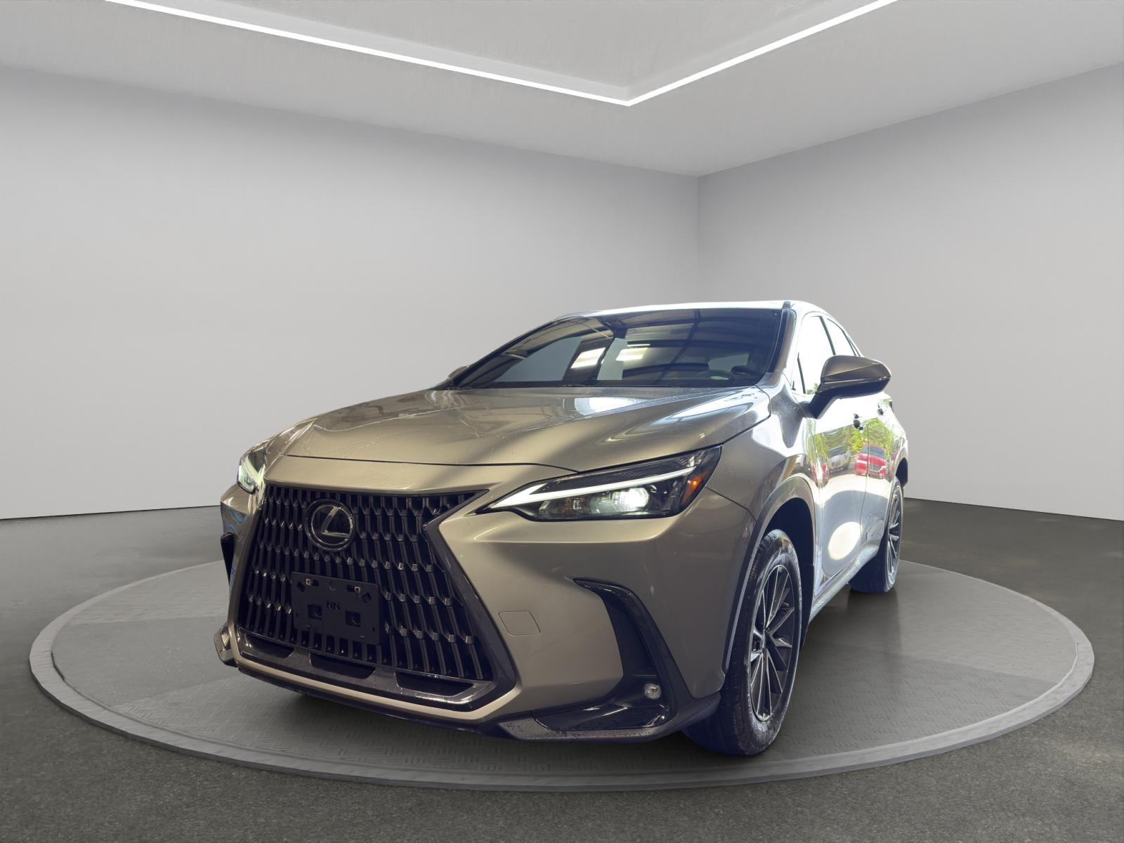 Lexus NX-Series 350h Premium 2023
