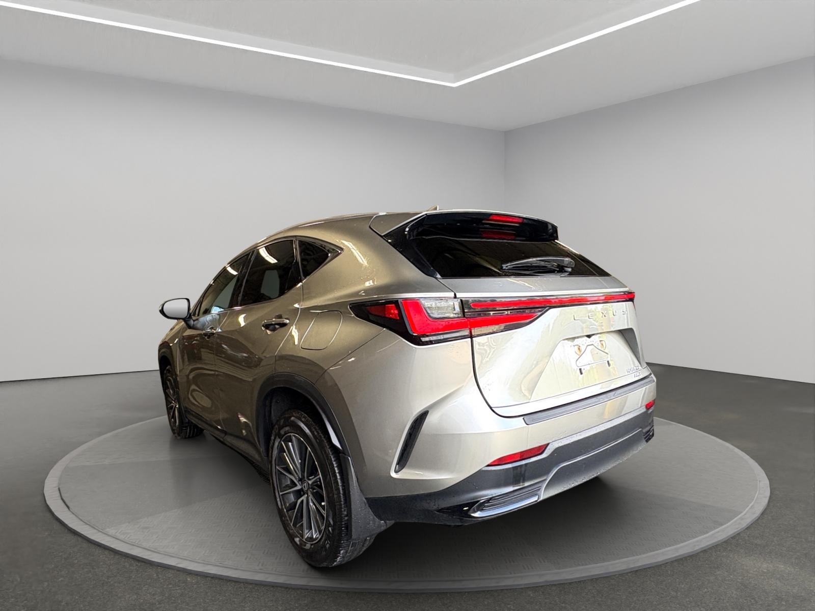 Lexus NX-Series 350h Premium 2023 — photo 4