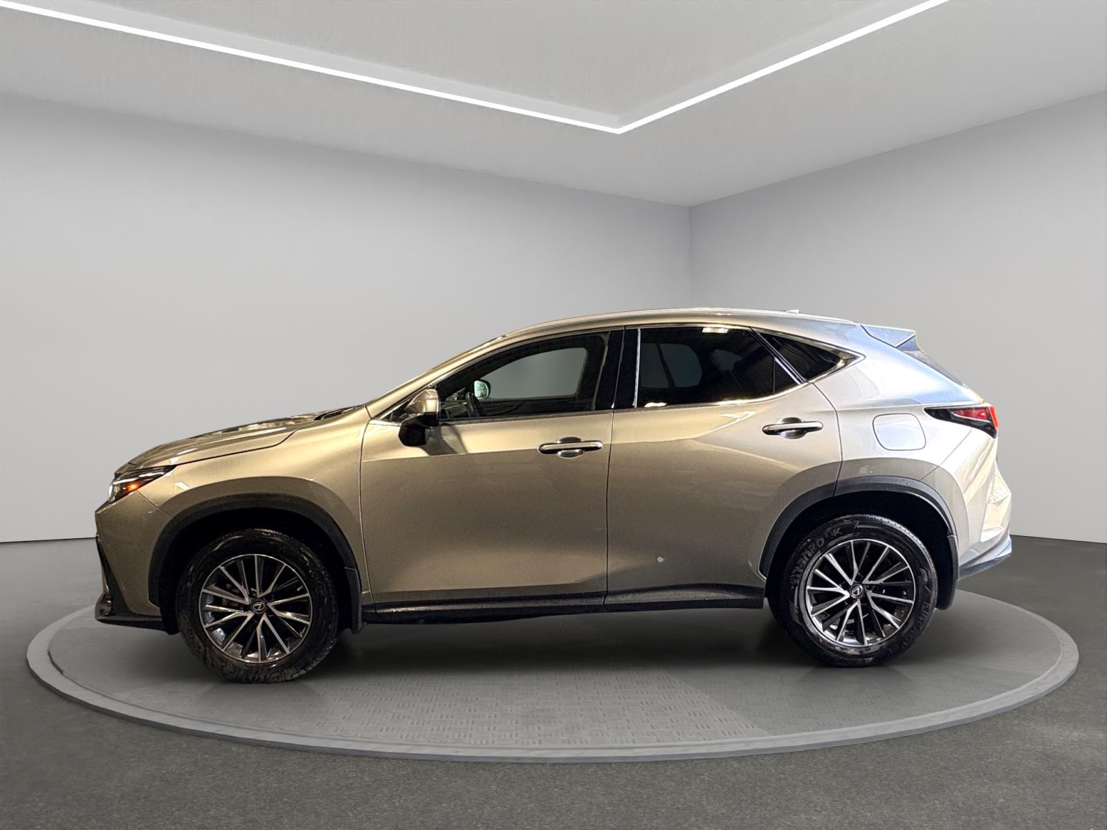 Lexus NX-Series 350h Premium 2023 — photo 3