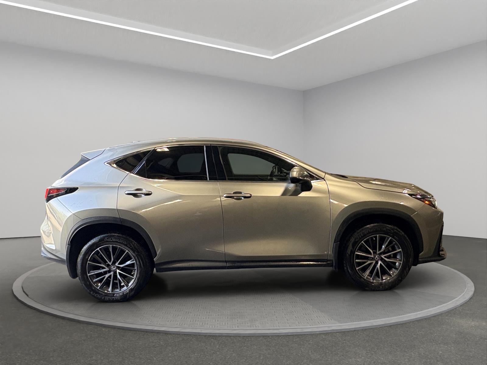 Lexus NX-Series 350h Premium 2023 — photo 7