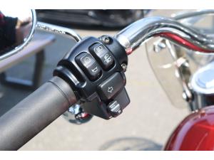 Miniature 12 Harley-Davidson FLSTF FLFBS Fat Boy (114) 2023