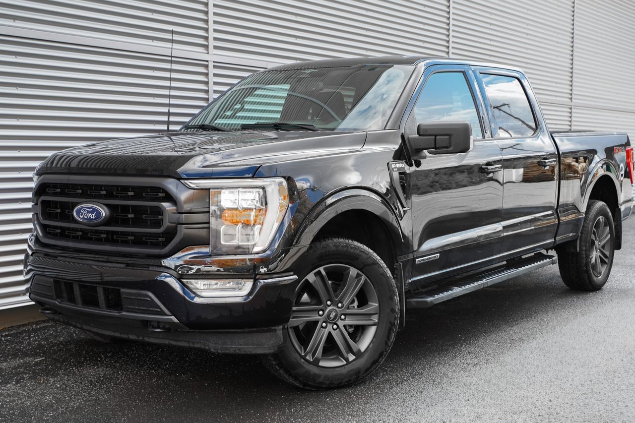 Image 1 Ford F150 Supercrew XLT - 157 WB 4X4 Ecoboost V6 3,5 2023