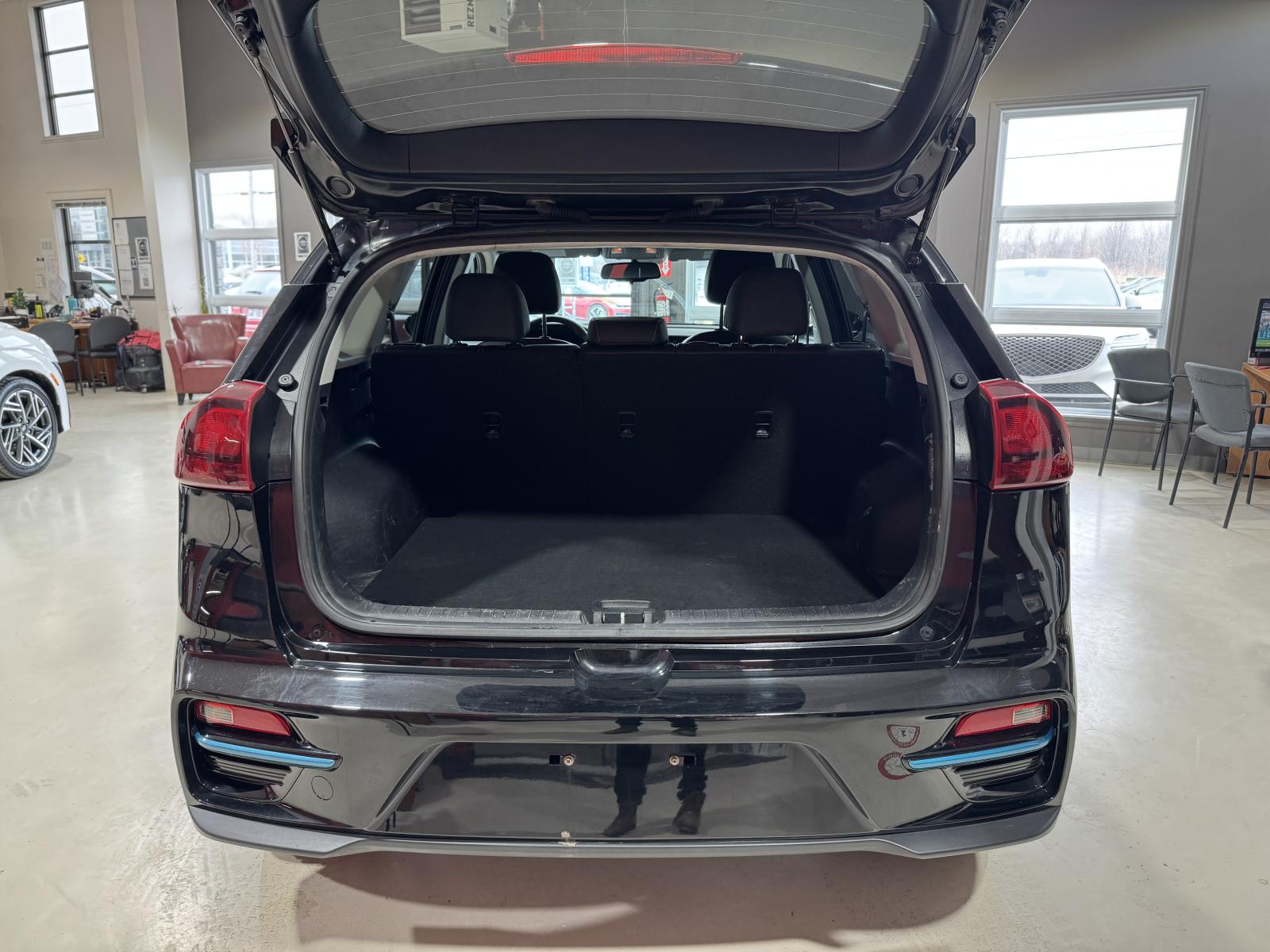 Image 7 Kia Niro EV EX 2022