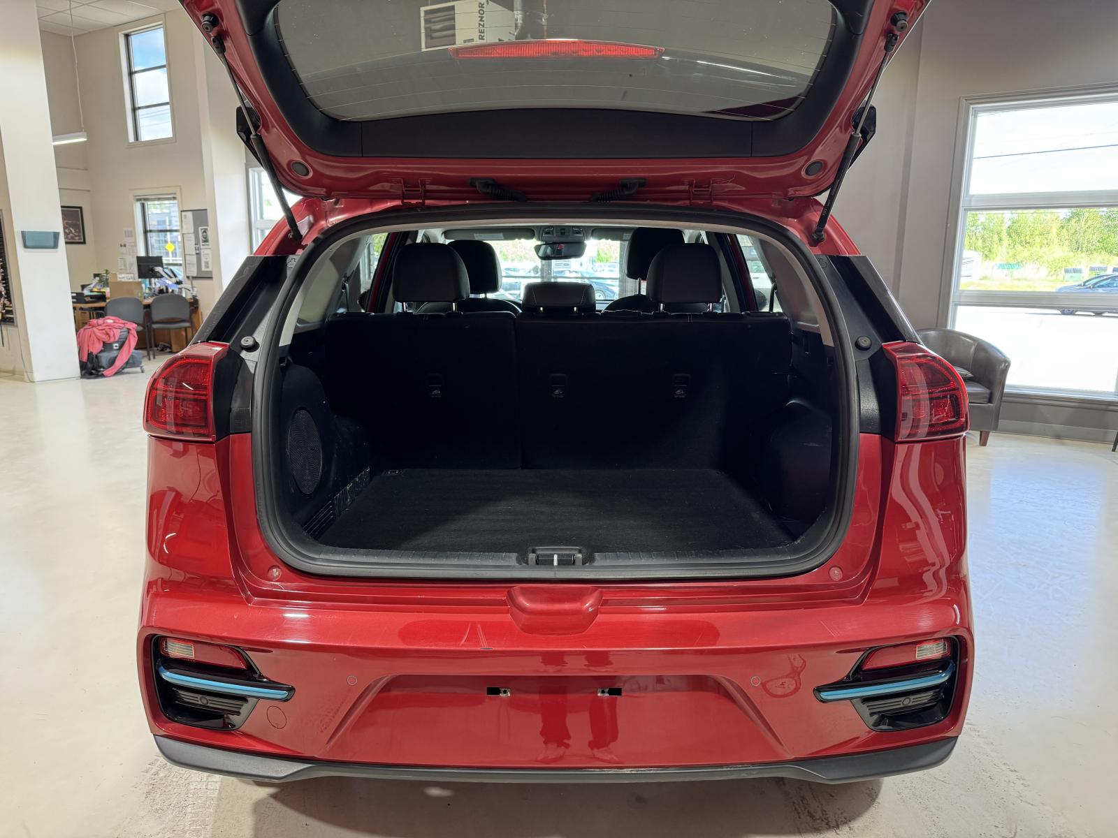Kia Niro EV SX Touring 2022 — photo 6