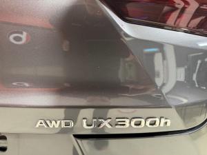 Miniature 7 Lexus UX-Series UX300h Premium 2025