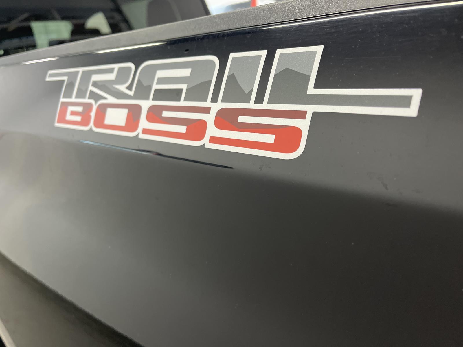 Image 24 Chevrolet Silverado 1500 LTD LT Trail Boss 2022