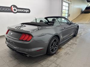 Thumbnail 6 Ford Mustang Eco Premium 2023