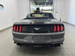 Thumbnail 7 Ford Mustang Eco Premium 2023