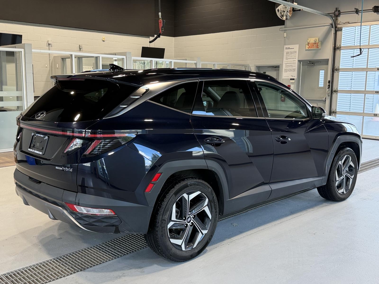 Hyundai Tucson Hybrid Luxury 2024 — photo 6