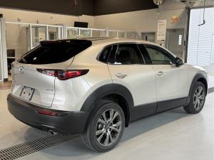 Thumbnail 7 Mazda CX-30 GT 2023