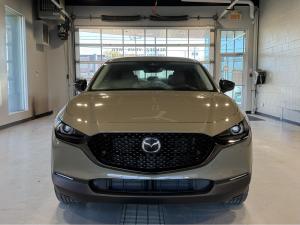 Miniature 8 Mazda CX-30 Suna 2.5T 2024