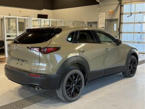 Miniature 7 Mazda CX-30 Suna 2.5T 2024