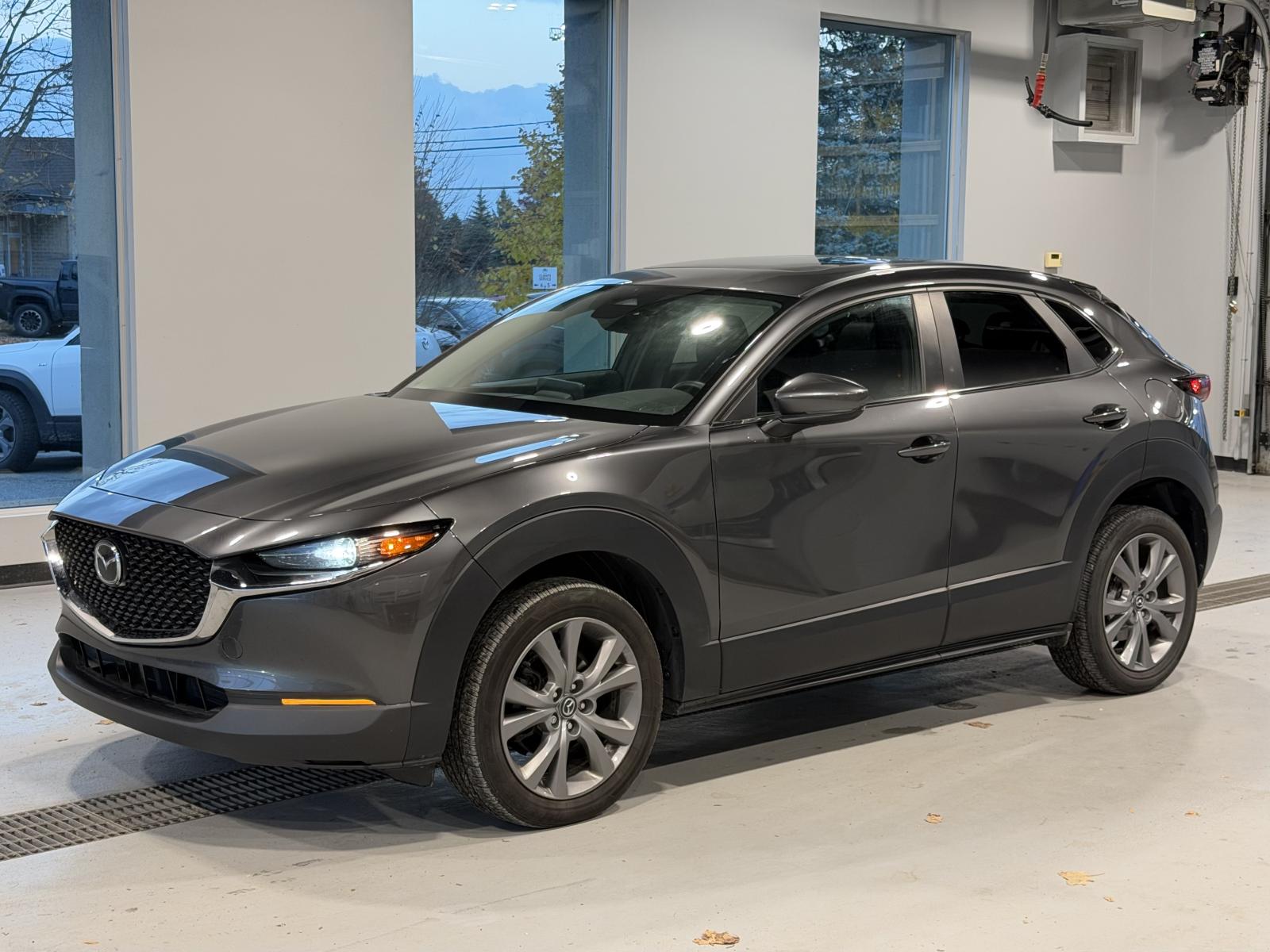 Image 1 Mazda CX-30 GS Luxury 2024