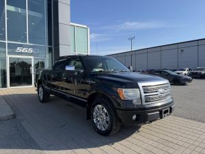 Thumbnail 6 Ford F150 Platinum 2010