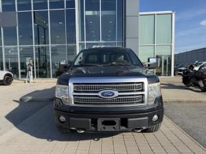 Thumbnail 12 Ford F150 Platinum 2010