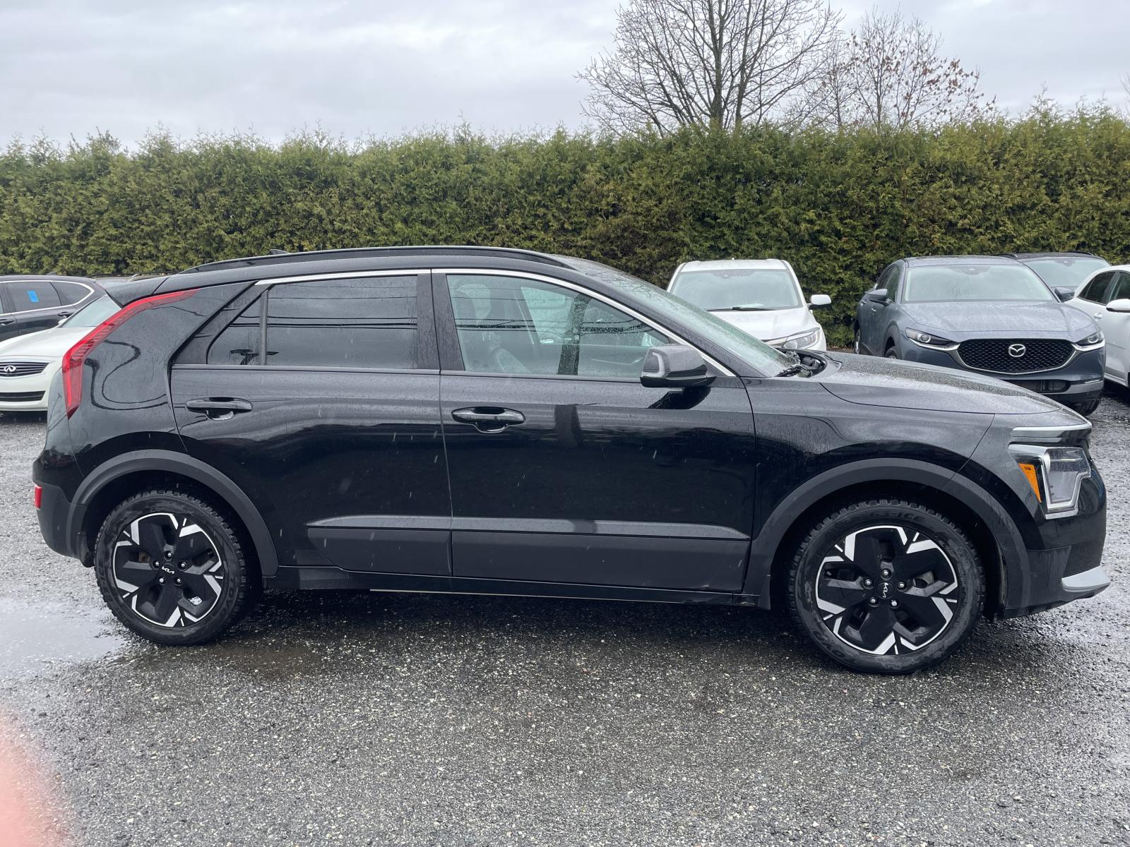 Kia Niro Wind+ EV 2024 — photo 8