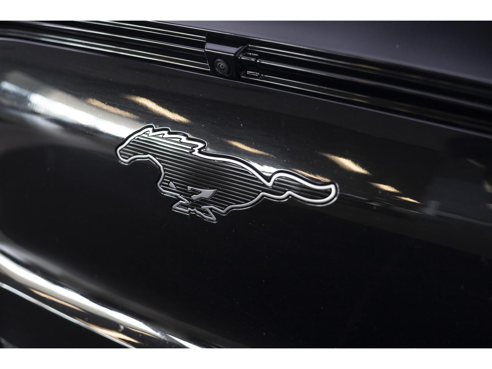 2024 Ford Mustang Mach-E