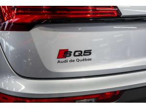 Thumbnail 6 Audi SQ5 Progressiv 2023