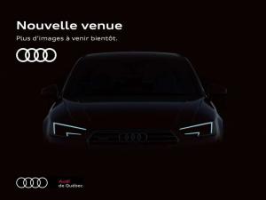 Miniature 35 Audi SQ5 Black Optics   Quantum Gray   Toit panoramique 2022