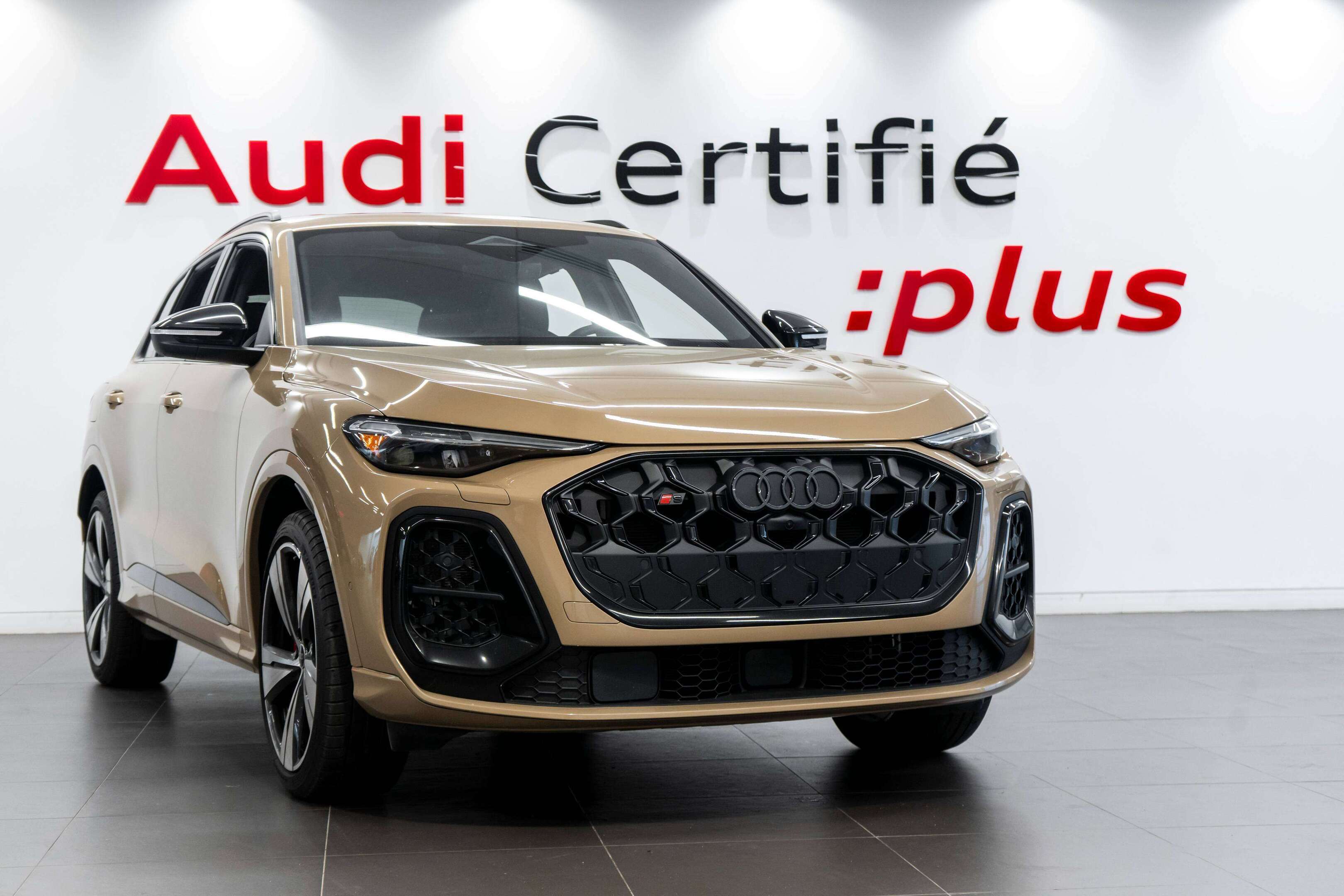 Image 1 Audi SQ5 Progressiv 2025