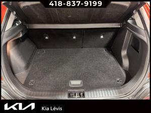 Miniature 14 Hyundai Kona 2.0L Essential TA 2019
