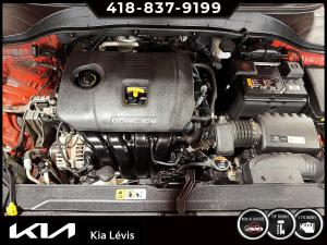 Miniature 15 Hyundai Kona 2.0L Essential TA 2019
