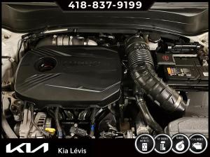 Miniature 16 Kia Seltos SX Turbo TI 2023