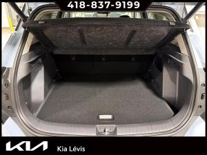 Miniature 15 Kia Seltos Ex Premium 2027