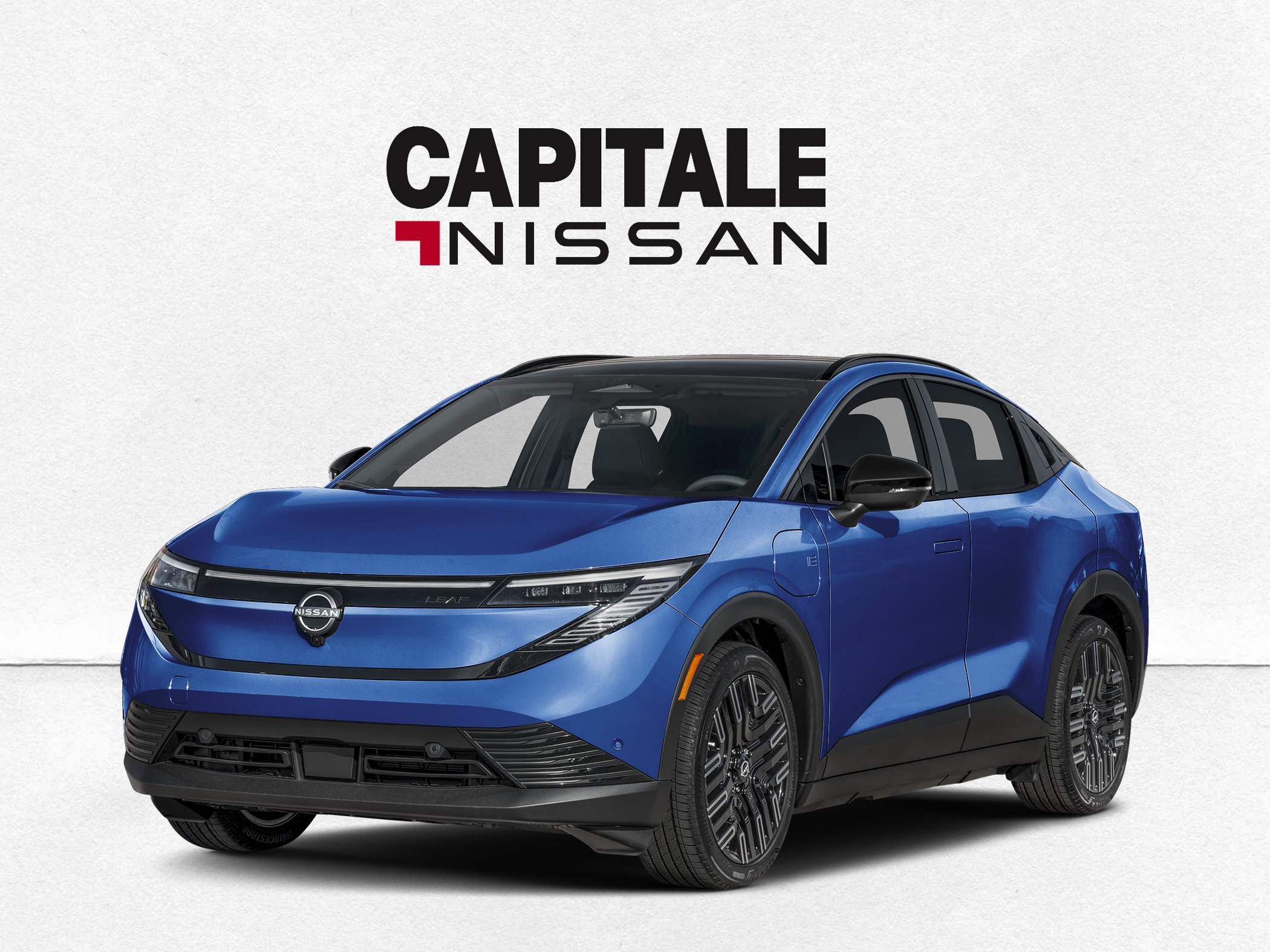 Image 1 Nissan Leaf Leaf Platinum+ 2027