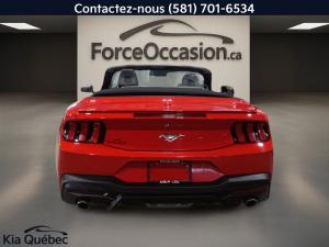 Miniature 5 Ford Mustang Ecoboost Convertible *Turbo *Bizone *Cuir *Caméra *Apple Car Play/Android Auto 2025