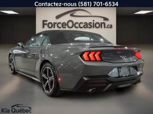 Miniature 5 Ford Mustang Ecoboost *Convertible *Carplay *Cuir *Gps *Siege/Volant Cauffant 2024