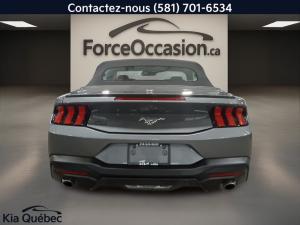 Miniature 7 Ford Mustang Ecoboost *Convertible *Carplay *Cuir *Gps *Siege/Volant Cauffant 2024