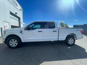 Miniature 6 Ford F-150 XLT cabine SuperCrew 4x4 - BOÎTE DE 6,5pi - BAS KILOMÉTRAGE 2023