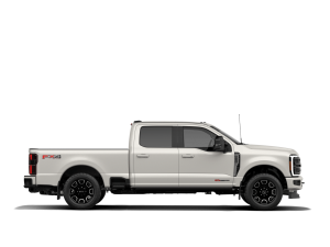 Miniature 5 Ford Others F-250 Platinum 2027