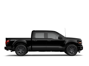 Miniature 5 Ford F 150 STX 4WD SuperCrew 5.5' Box 2026