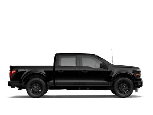 Miniature 5 Ford F 150 STX 4WD SuperCrew 5.5' Box 2026