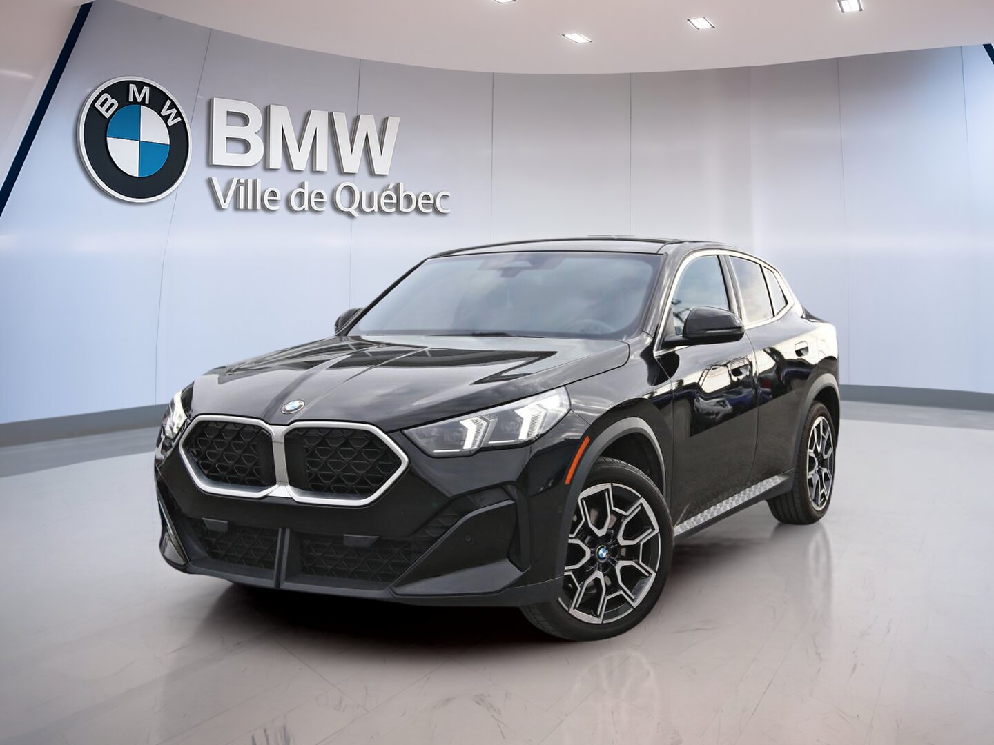 Image 1 BMW X2 xDrive28i 2025