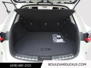 Miniature 20 Lexus NX Nx 250 Ti 2022