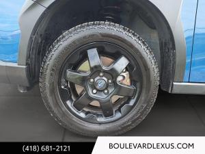 Miniature 7 Subaru Outback Wilderness TI 2024